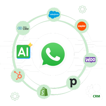 Website Design & Development